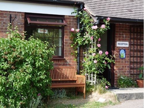 Spindlewood Country Holiday Park - Caravan Park Hastings Eksteriør billede